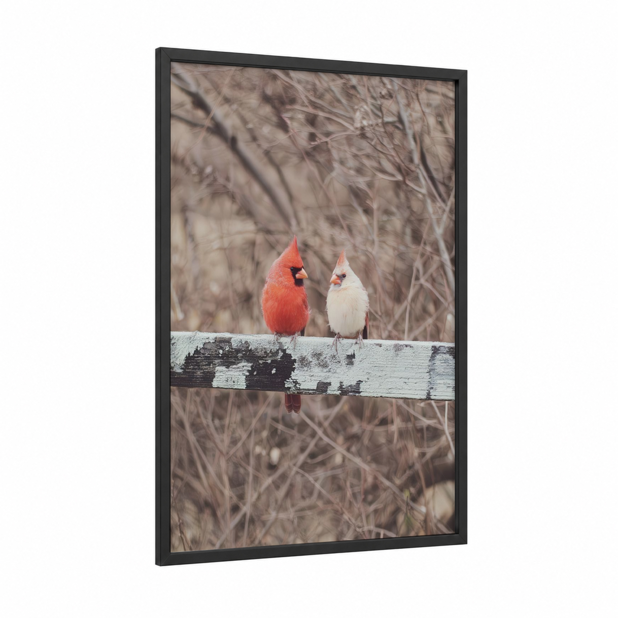 Cardinal Pair Winter framed art print — black wood frame — red and white palette