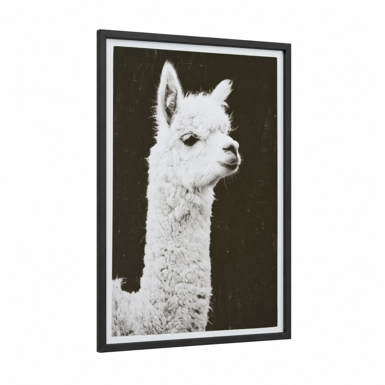 Snowy Alpaca Profile framed art print — black wood frame — black and white palette