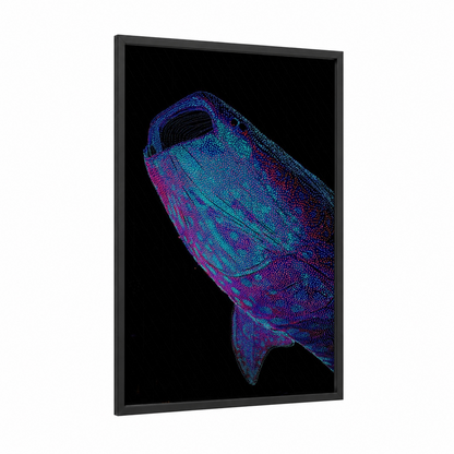 Neon Whale Shark framed art print — black wood frame — blue and magenta palette