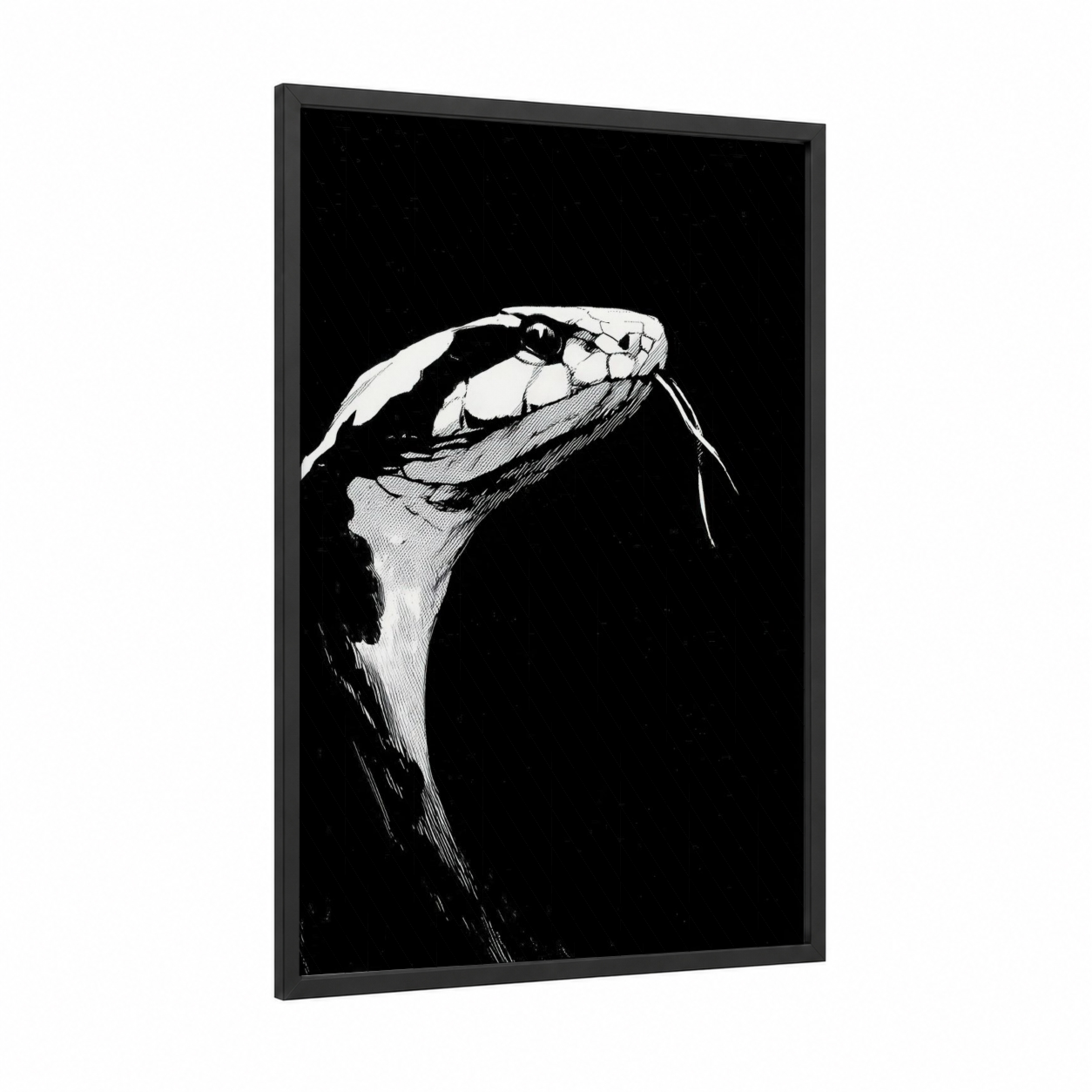 Striking Viper framed art print — black wood frame — black and white palette