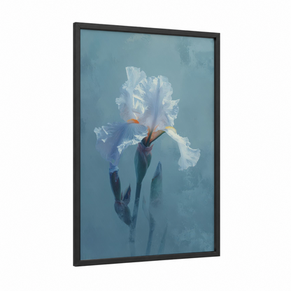 Ethereal White Iris framed art print — black wood frame — blue and white palette