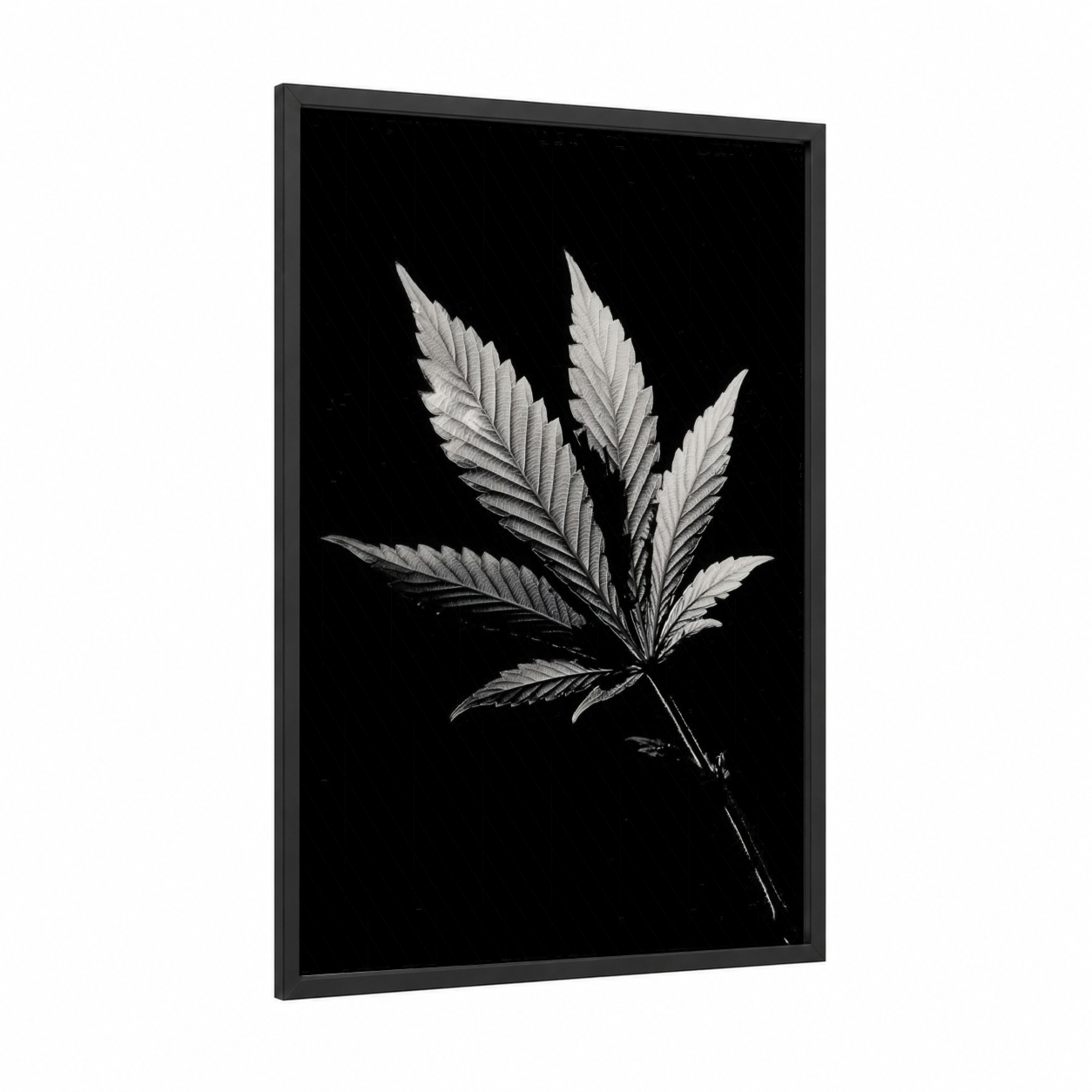 Botanical Cannabis Study framed art print — black wood frame — black and white palette