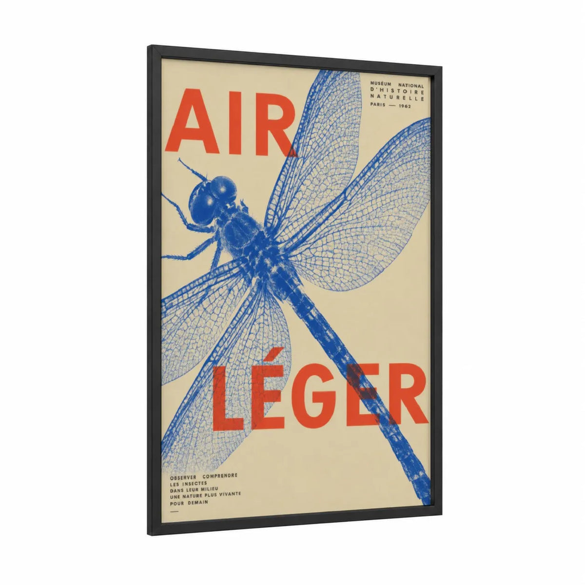 Vintage Dragonfly Museum Poster Wall Art framed art print — black wood frame — blue and beige palette