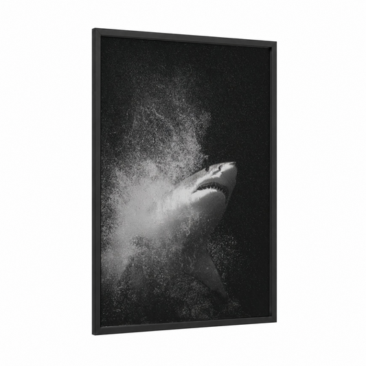 Explosive Shark framed bull shark print — black wood frame — black and white palette