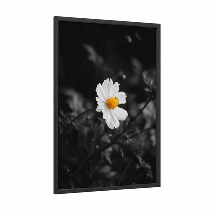 Golden Bloom Contrast framed abstract flower print — black wood frame — black and white and yellow gold palette