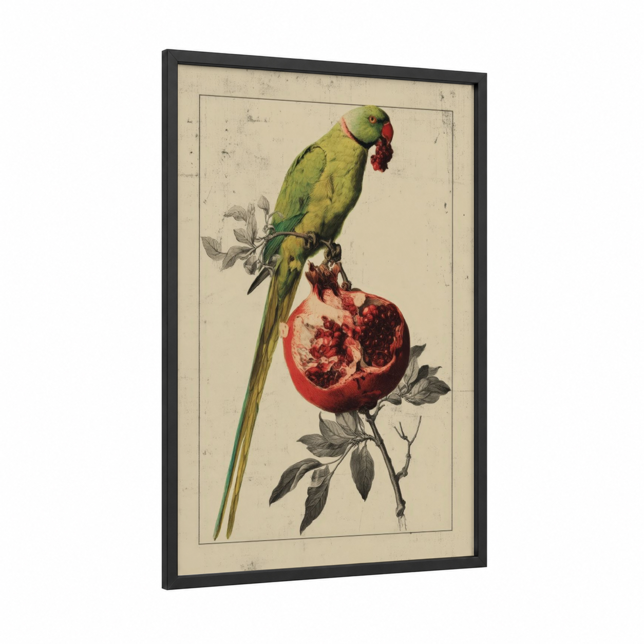 Pomegranate Parrot framed safari parrots print — black wood frame — light green and red palette