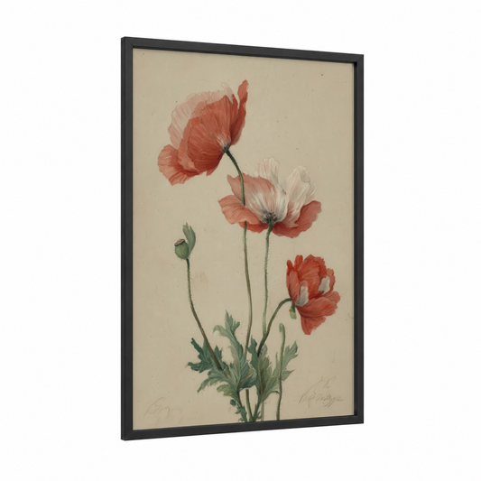 Crimson Poppy Study framed poppies print — black wood frame — red and cream palette