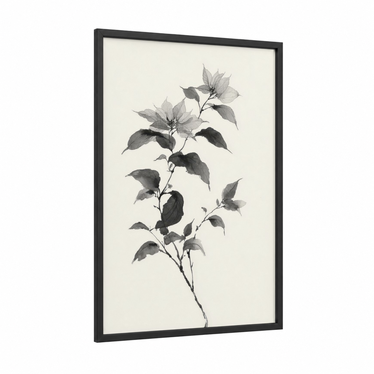 Delicate Poinsettias framed art print — black wood frame — gray and white palette
