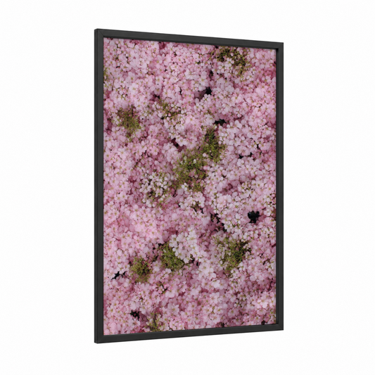 Pink Blossom Canopy framed cherry blossoms print — black wood frame — pink and green palette