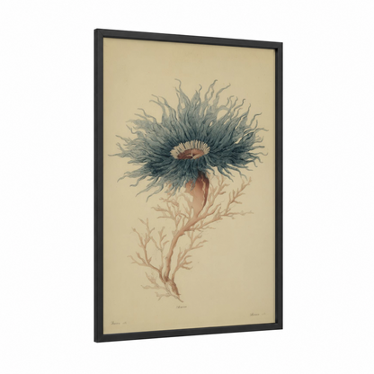 Delicate Sea Anemone framed art print — black wood frame — cream and dove gray palette