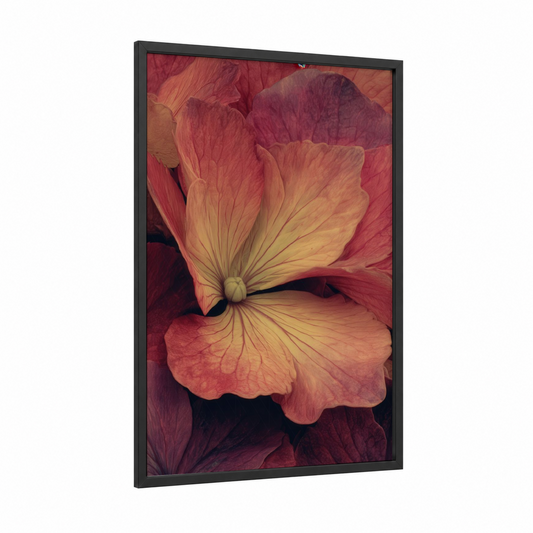 Peachy Hydrangea framed art print — black wood frame — peach and maroon palette