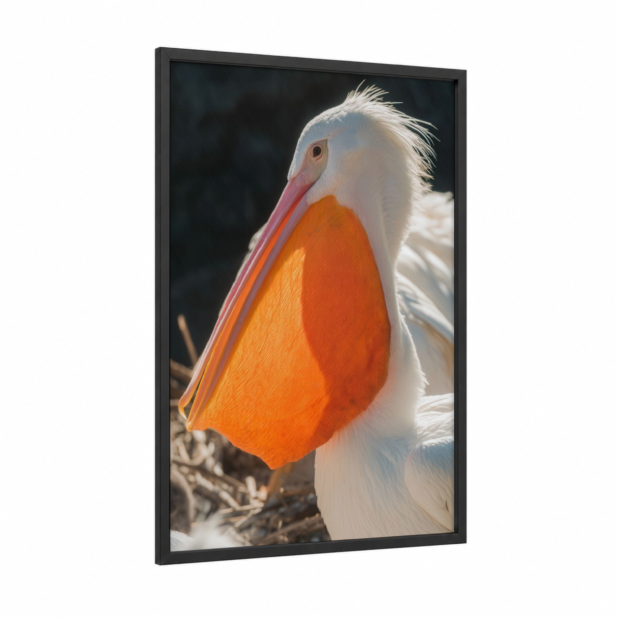 Rosy Pelican Portrait framed art print — black wood frame — white and orange palette