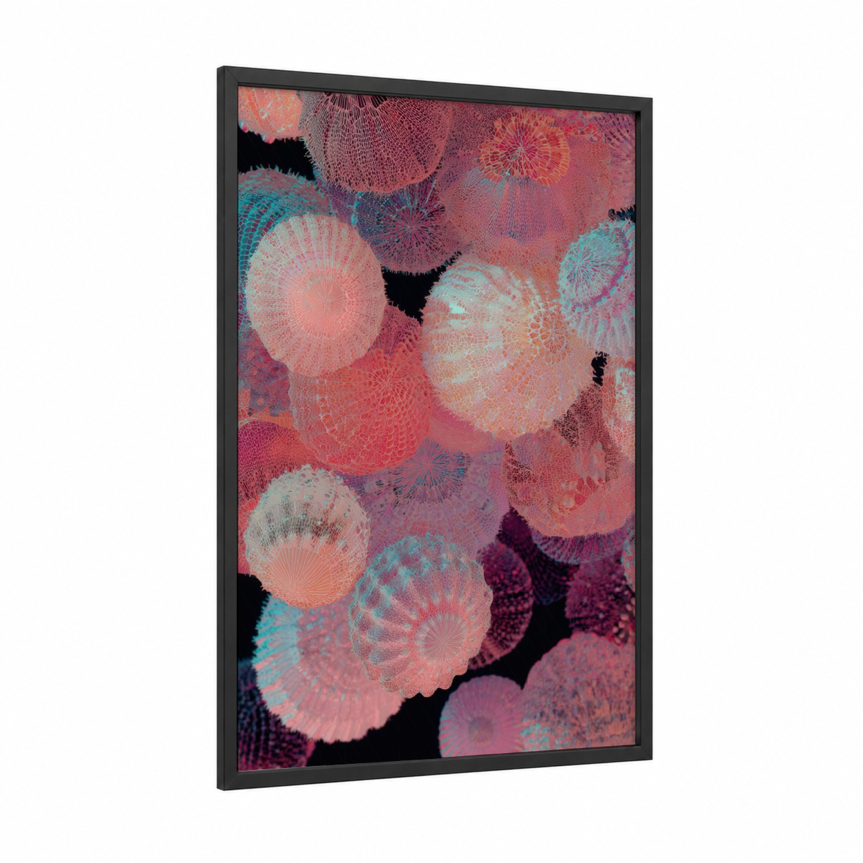 Coral Sea Urchin framed art print — black wood frame — pink and turquoise palette