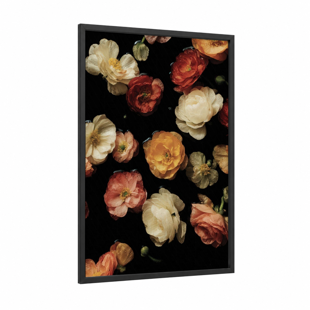 Midnight Ranunculus framed art print — black wood frame — cream and gold palette