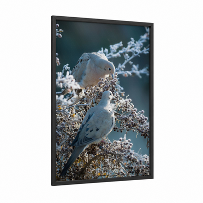 Snowy Doves framed art print — black wood frame — white and blue and white palette