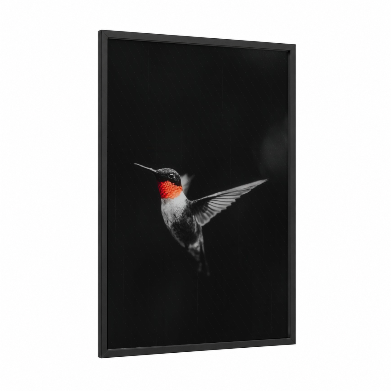 Ruby Hummingbird framed art print — black wood frame — black and white and red palette