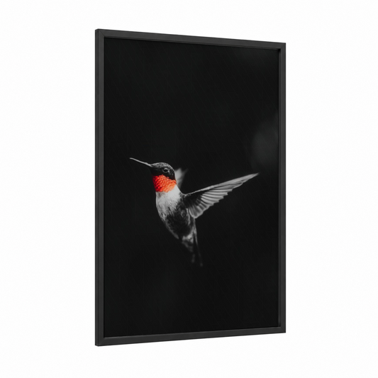 Ruby Hummingbird framed art print — black wood frame — black and white and red palette