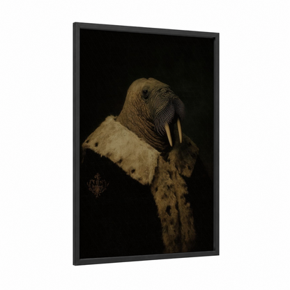 Arctic Walrus framed art print — black wood frame — black and cream palette