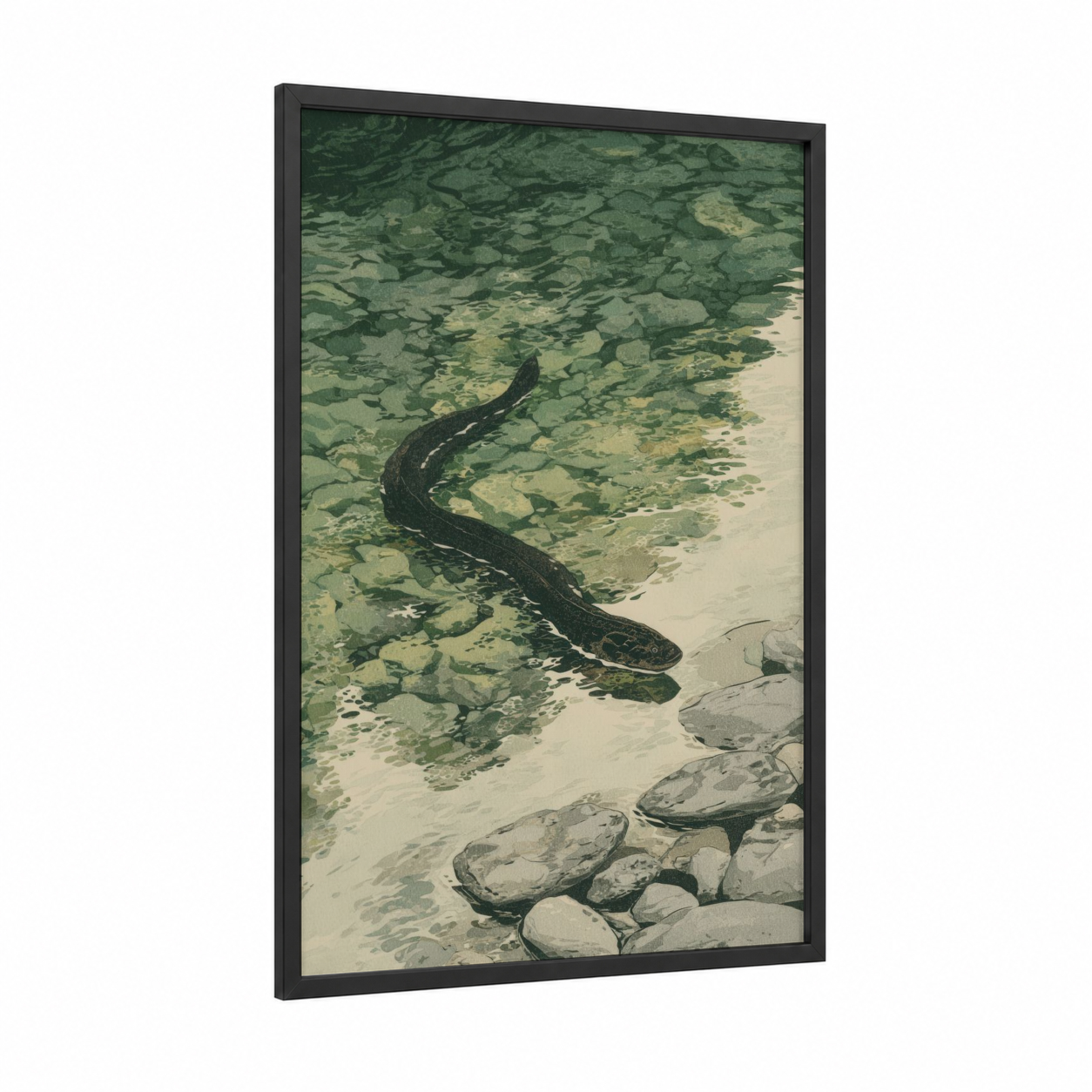 Shallow Water Eel framed eels print — black wood frame — sage green and white palette