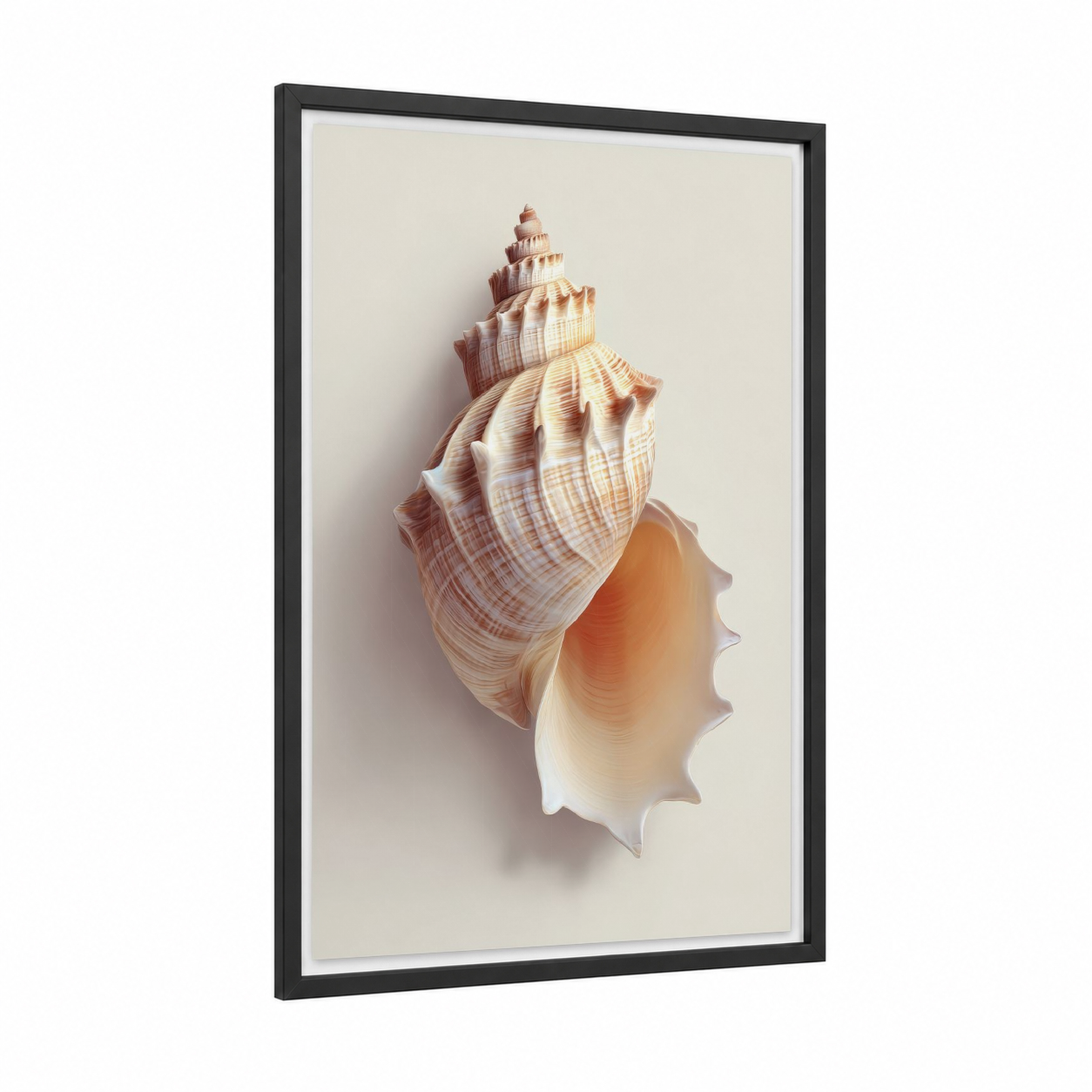 Spiral Seashell Study framed art print — black wood frame — peach and cream palette