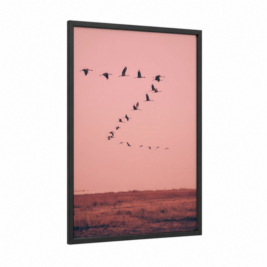 Rosy Migration framed crane print — black wood frame — pink and salmon pink palette