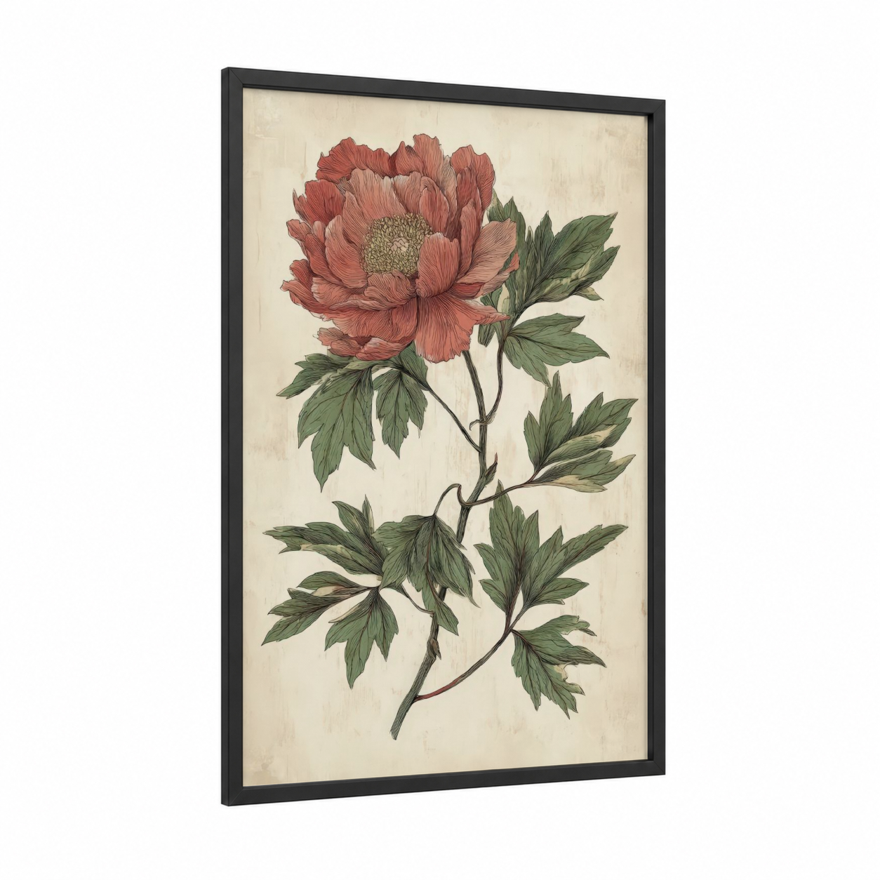Coral Peony Bloom framed art print — black wood frame — salmon pink and dark green palette