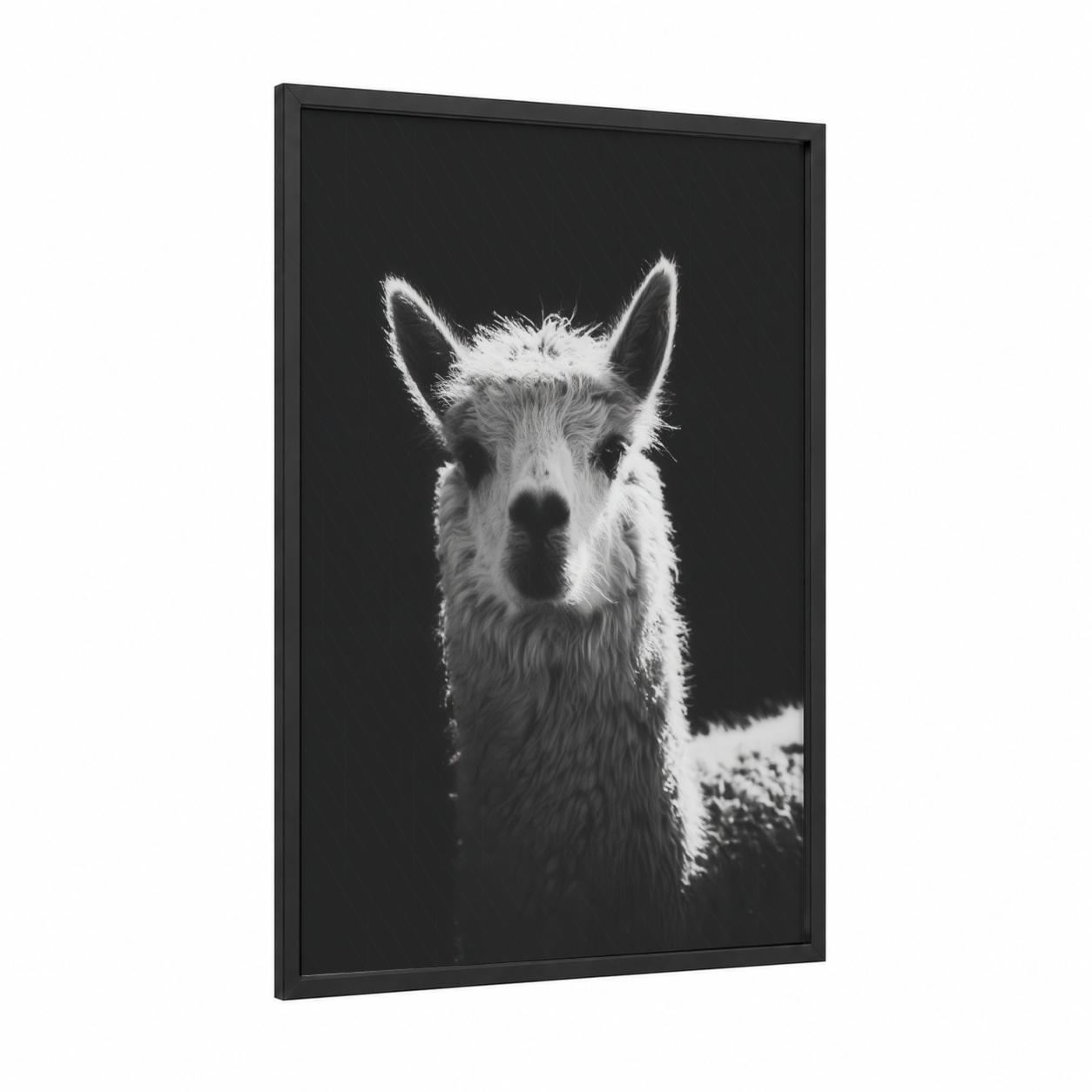 Snowy Alpaca Portrait framed art print — black wood frame — black and white palette