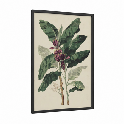 Crimson Banana Plant framed fruit trees print — black wood frame — dark green and maroon palette