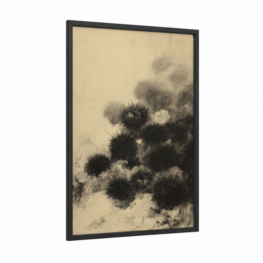 Sea Urchin Study framed seafood print — black wood frame — beige and black and white palette