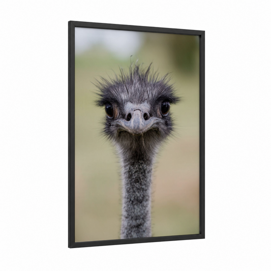 Curious Ostrich framed art print — black wood frame — gray and green palette
