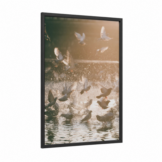 Golden Hour Pigeons framed art print — black wood frame — gold and cream palette