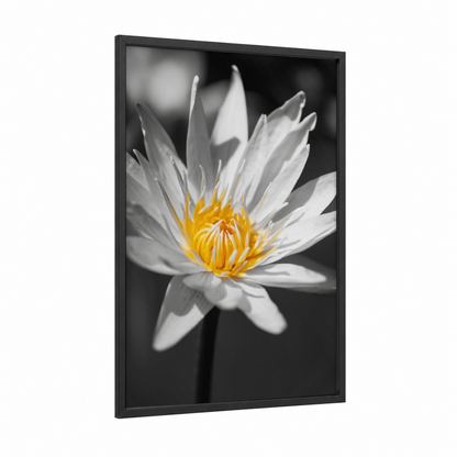 Golden Lotus Bloom framed abstract flower print — black wood frame — black and white and gold palette