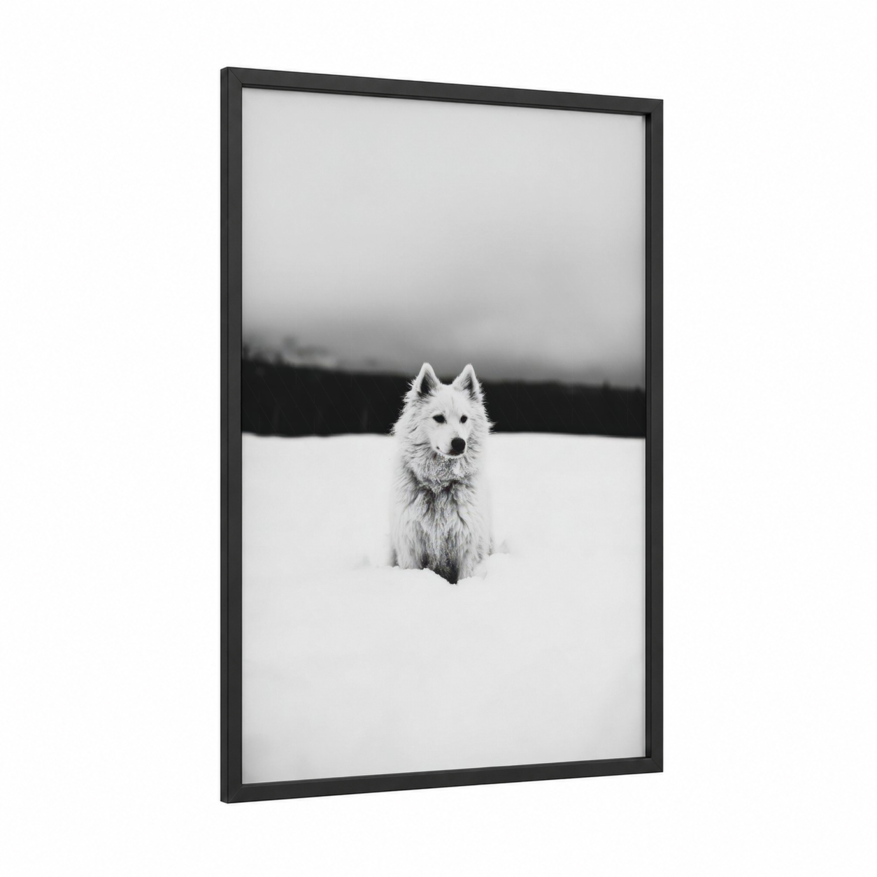 Snowy Spitz Portrait framed art print — black wood frame — black and white and gray palette