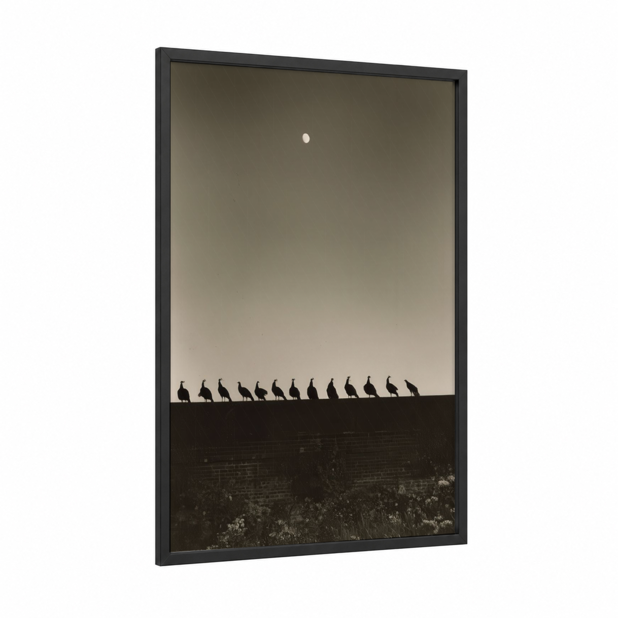 Peacock Silhouettes framed art print — black wood frame — black and white and dove gray palette