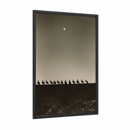 Peacock Silhouettes framed art print — black wood frame — black and white and dove gray palette