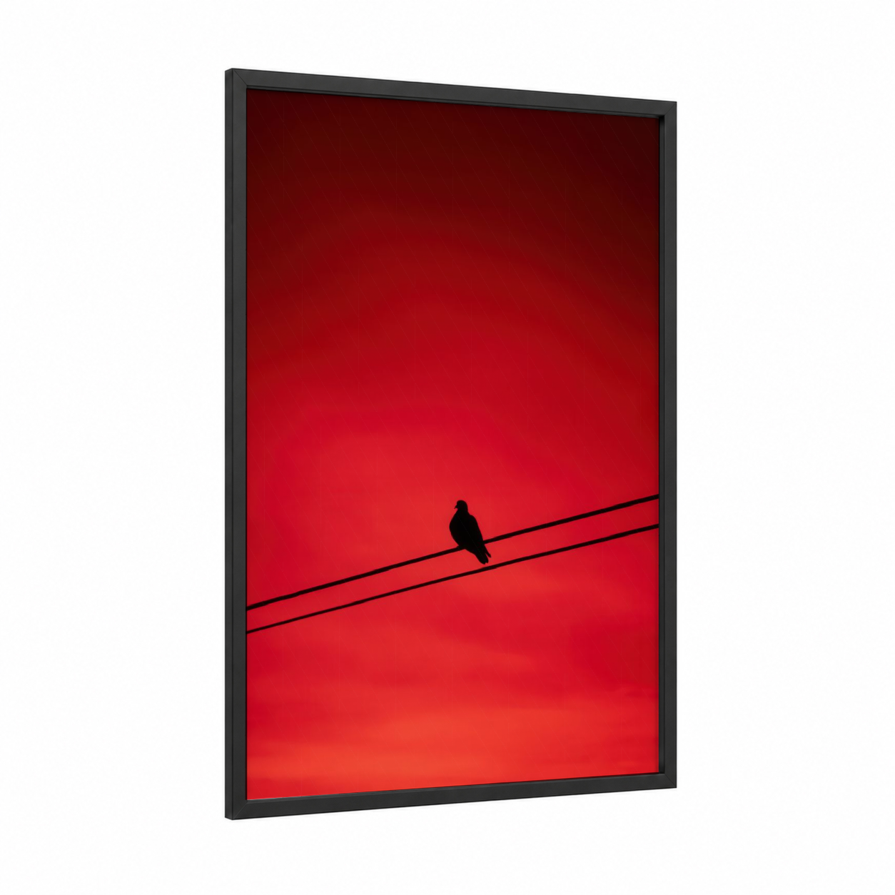 Crimson Perch Pigeon framed art print — black wood frame — red and black and red palette