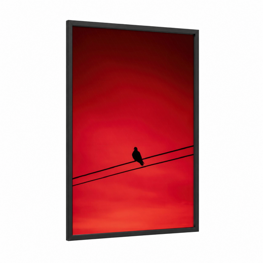 Crimson Perch Pigeon framed art print — black wood frame — red and black and red palette