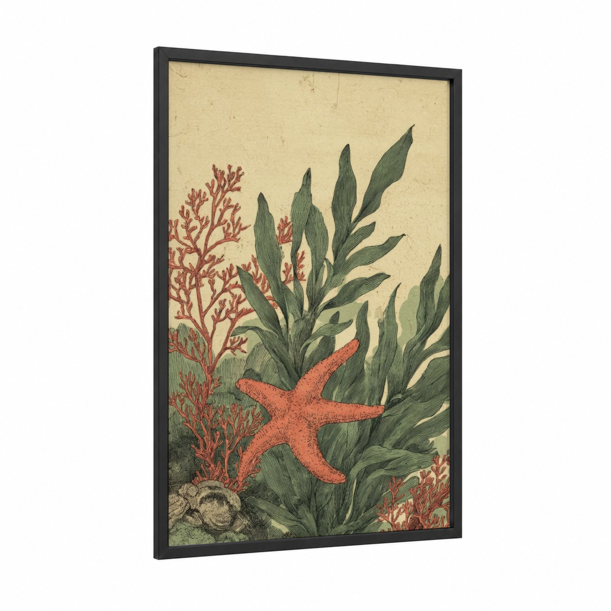 Coral Starfish framed art print — black wood frame — cream and russet palette