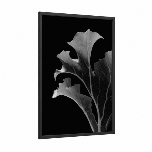 Leafy Greens Study framed salad print — black wood frame — black and white and gray palette
