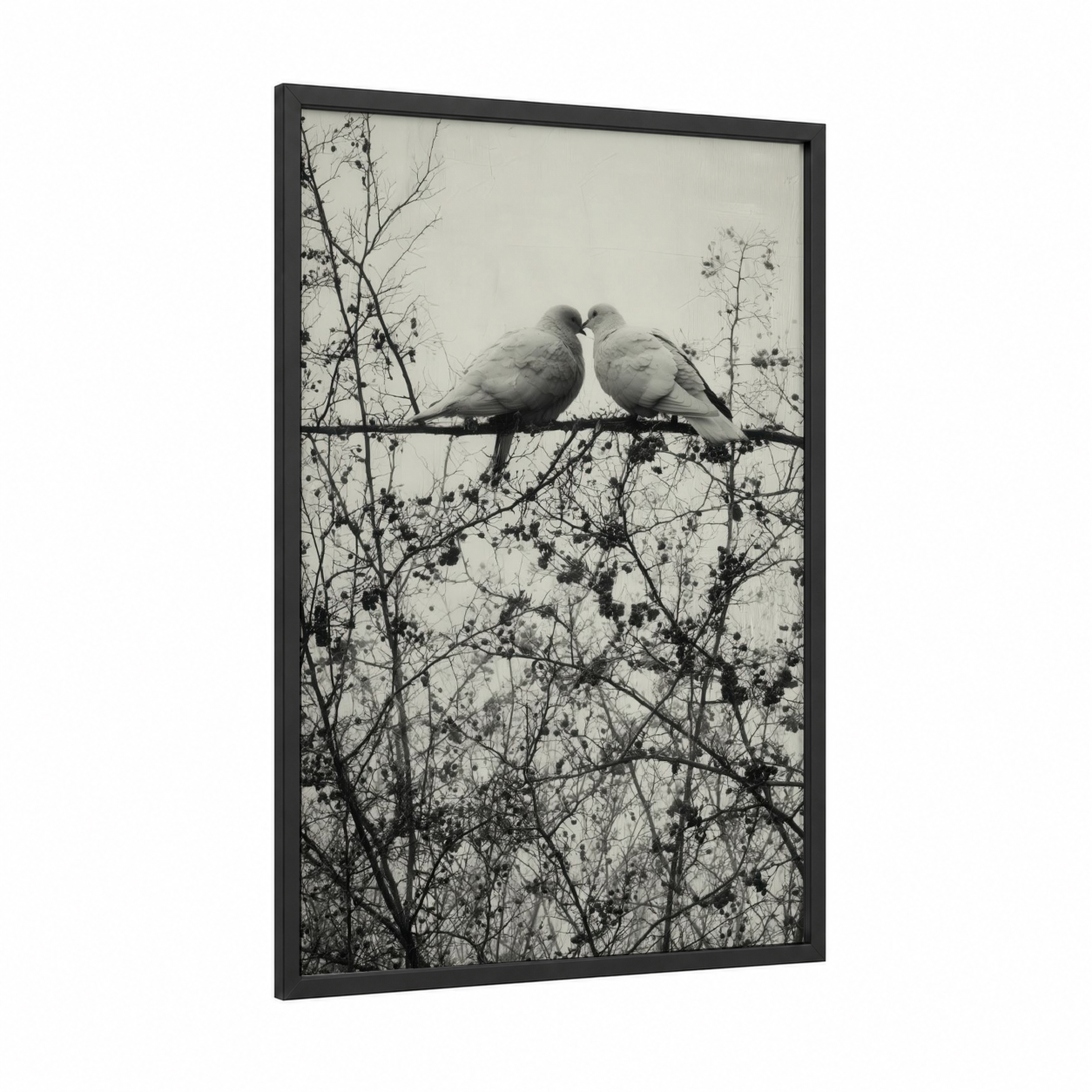 Affectionate Doves framed art print — black wood frame — black and white and gray palette