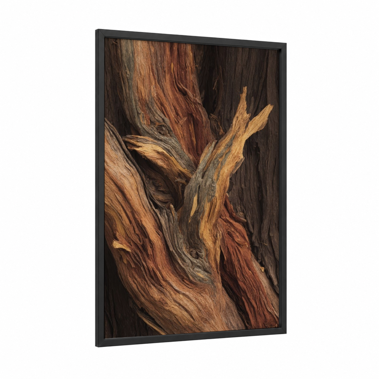 Weathered Juniper framed juniper tree print — black wood frame — brown and black palette