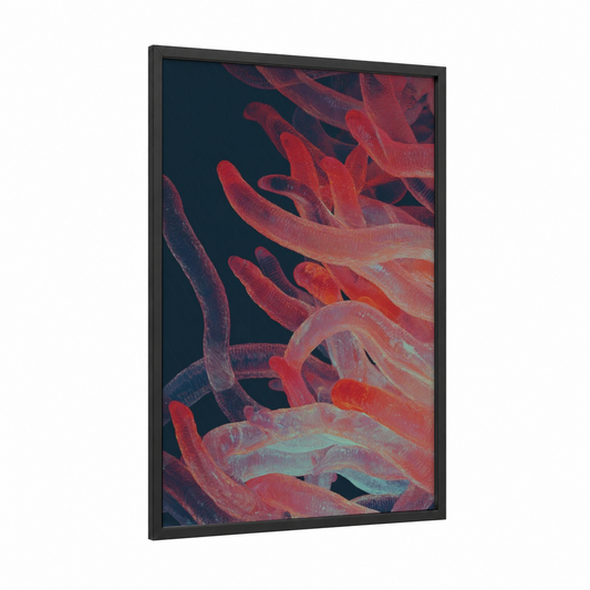 Crimson Licorice Strands framed sweet print — black wood frame — red and dark blue palette