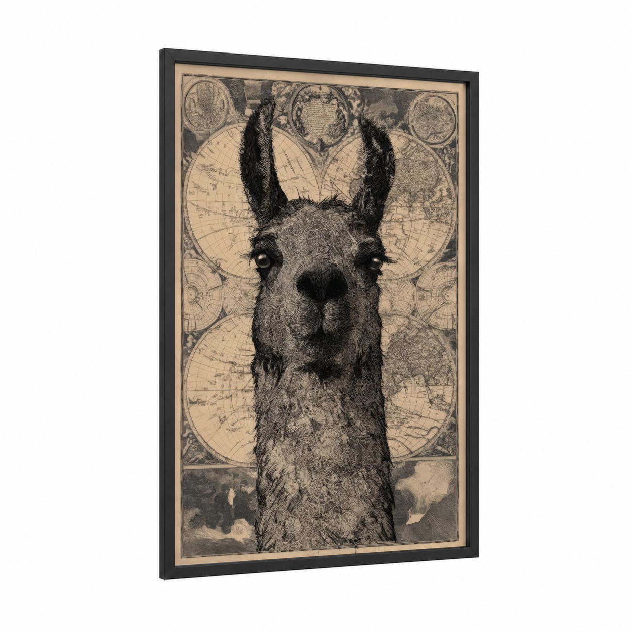 Cartography Llama framed art print — black wood frame — black and white and cream palette