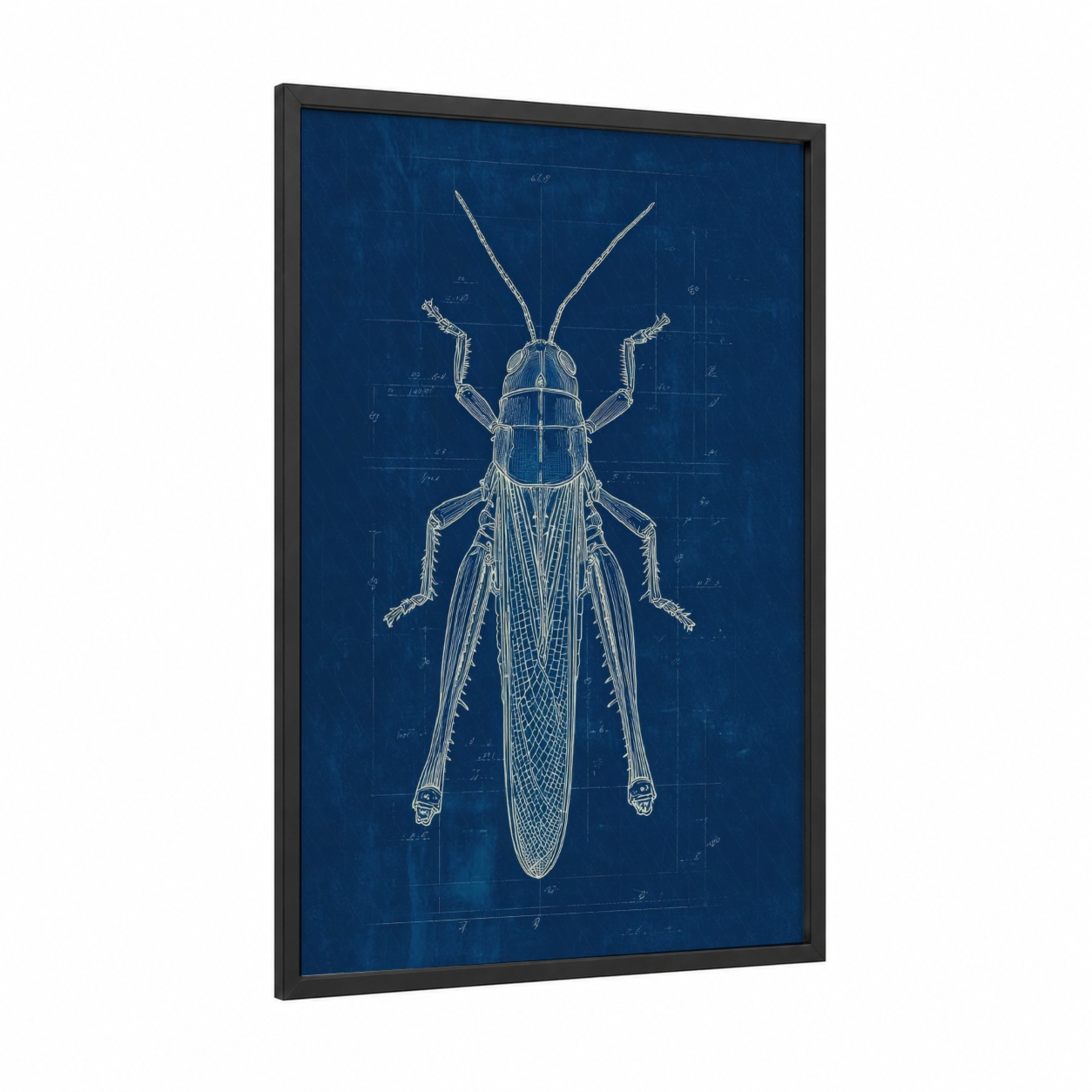 Blueprint Grasshopper framed art print — black wood frame — dark blue and white palette