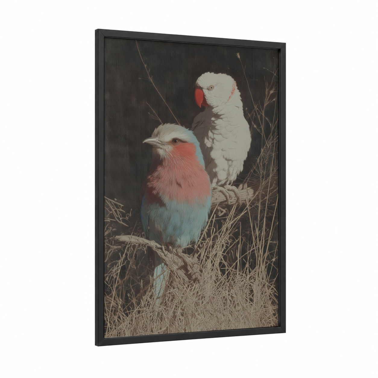Cockatoo Pair framed safari parrots print — black wood frame — white and blue palette