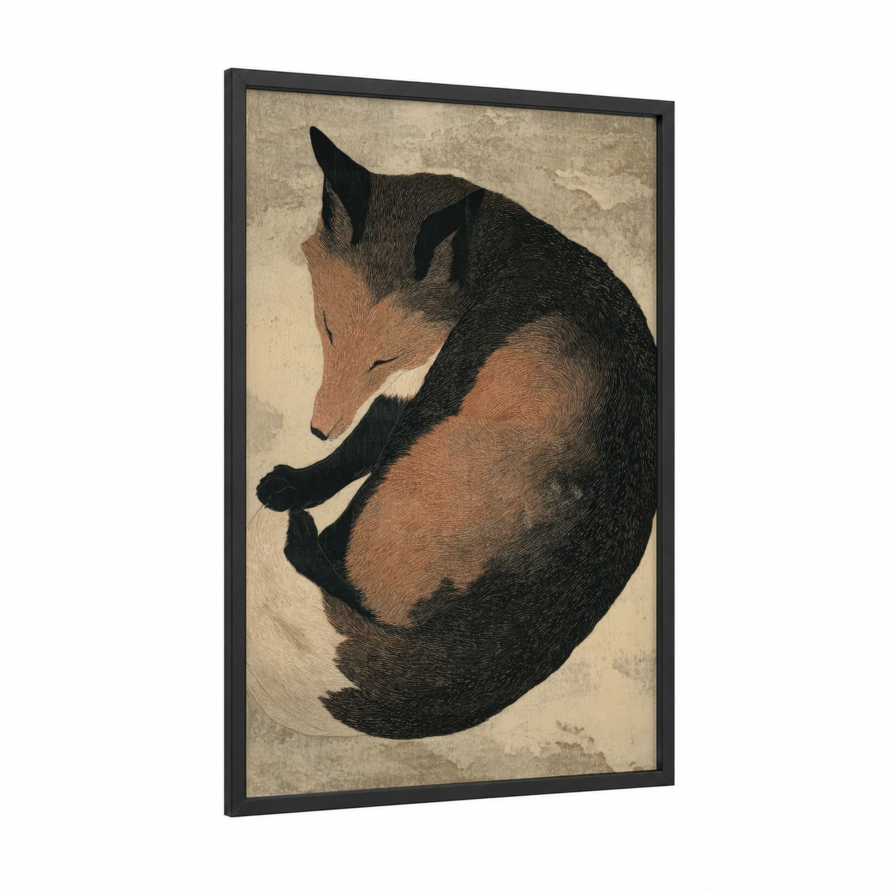 Curled Fox framed art print — black wood frame — brown and black and white palette