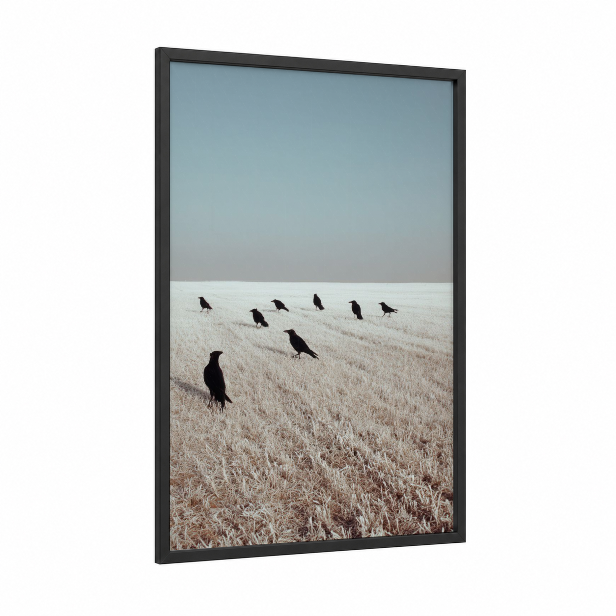 Winter Crows Field framed crows and ravens print — black wood frame — blue and white and gray palette
