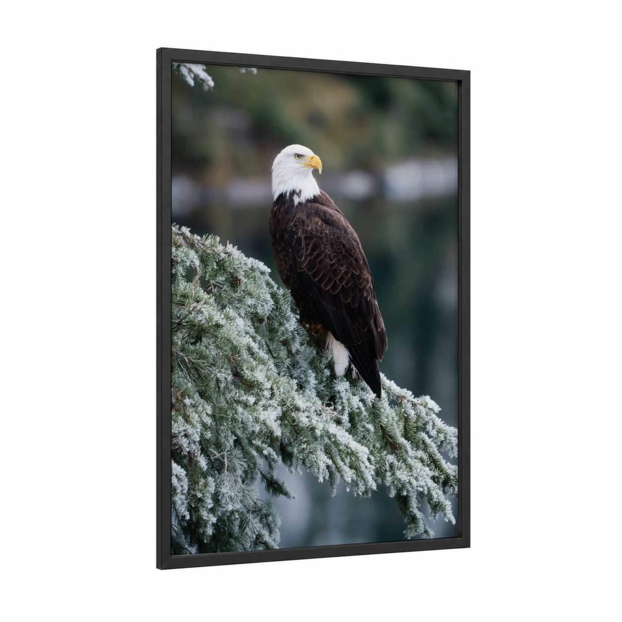 Frosted Eagle Perch framed art print — black wood frame — white and dark green palette