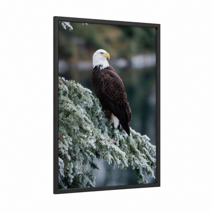 Frosted Eagle Perch framed art print — black wood frame — white and dark green palette