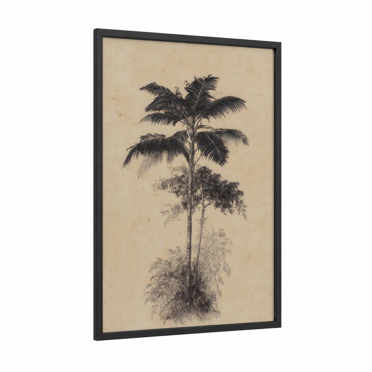 Tropical Palm Study framed palm tree print — black wood frame — black and white and cream palette
